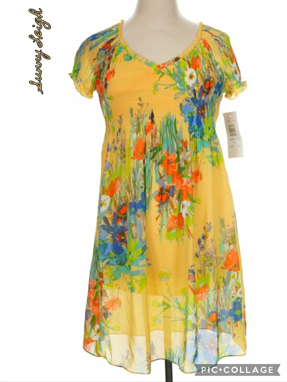 Sunny Leigh dress floral watercolor print gathered bodice full lining NWT